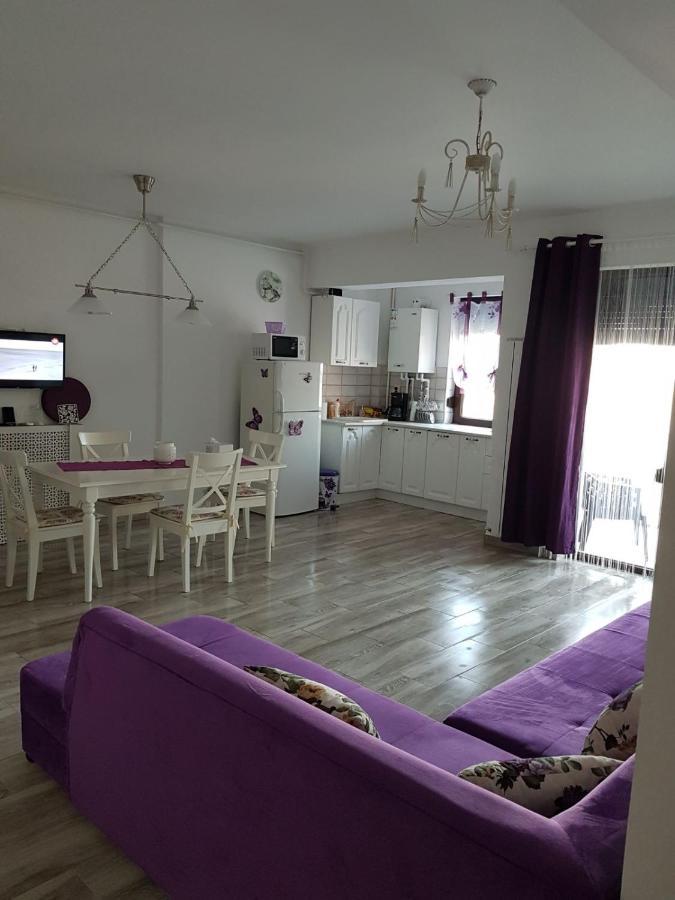 Apartament Andy Mamaia Nord 30 m de plaja Năvodari Exterior foto